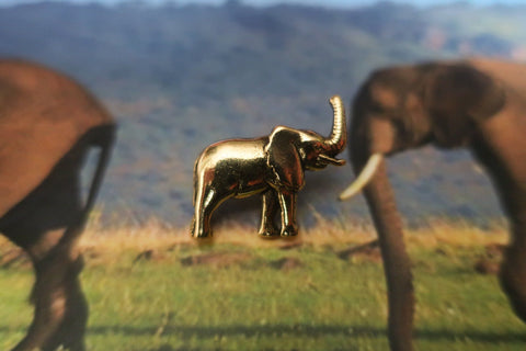 Elephant Gold Lapel Pin