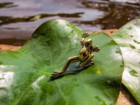 Frog Gold Lapel Pin