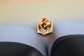 Bookworm Scholar Gold Lapel Pin