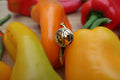 Chili Pepper Gold Lapel Pin