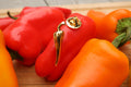 Chili Pepper Gold Lapel Pin