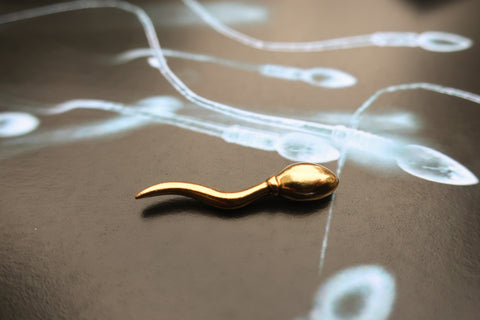 Sperm Gold Lapel Pin