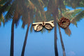 Sunglasses Gold Lapel Pin