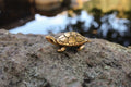 Turtle Gold Lapel Pin