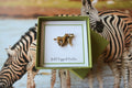 Zebra Gold Lapel Pin