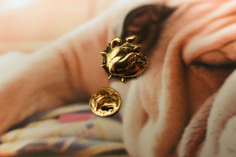 Bulldog Gold Lapel Pin