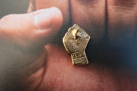 Civil Rights Gold Lapel Pin