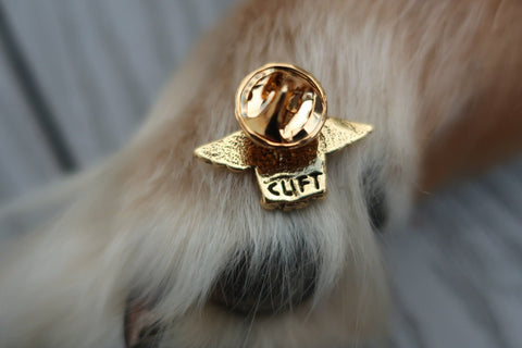 Dog Angel Gold Lapel Pin