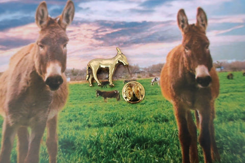 Donkey Gold Lapel Pin