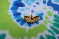 Handshake Gold Lapel Pin