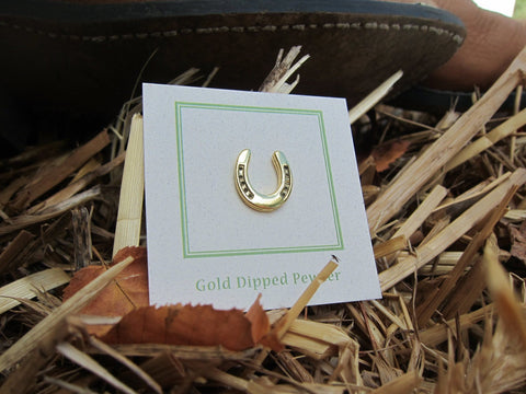 Horseshoe Gold Lapel Pin