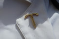 IUD Gold Lapel Pin