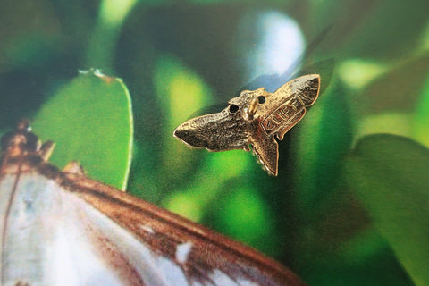 Moth Gold Lapel Pin