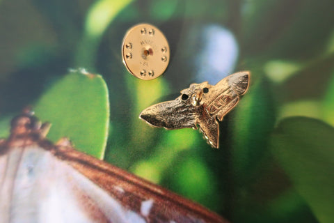 Moth Gold Lapel Pin