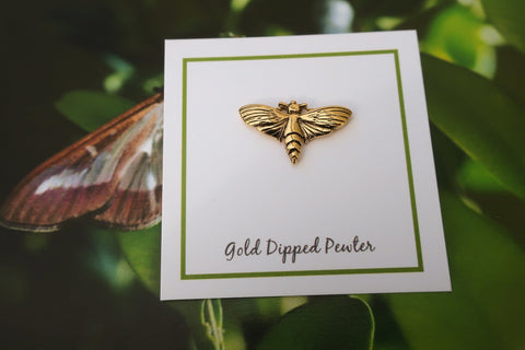 Moth Gold Lapel Pin