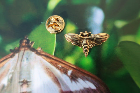 Moth Gold Lapel Pin