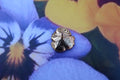 Pansy Gold Lapel Pin