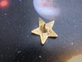 Star Gold Lapel Pin