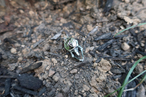 Grasshopper Lapel Pin