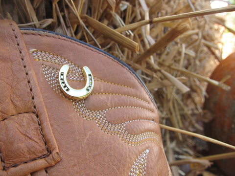 Horseshoe Gold Lapel Pin