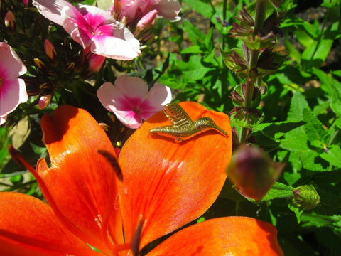 Hummingbird Gold Lapel Pin