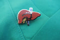 Liver Enamel Pin