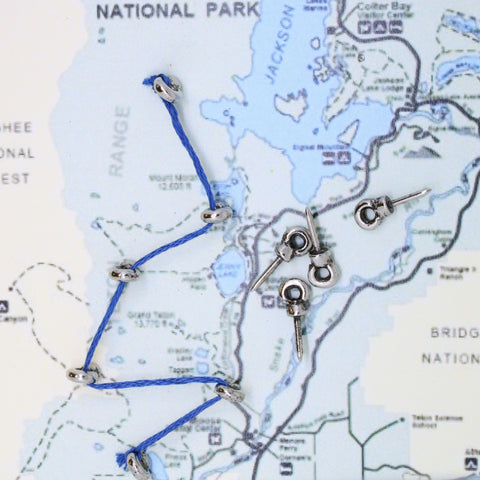Ring Map Pins