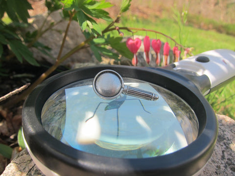 Magnifying Glass Lapel Pin