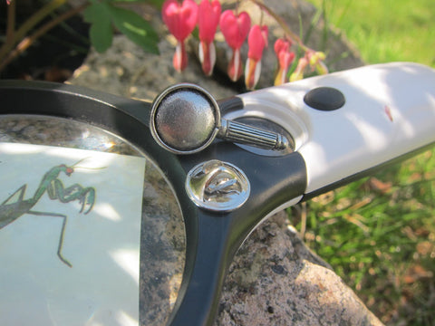 Magnifying Glass Lapel Pin