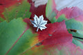 Maple Leaf Lapel Pin