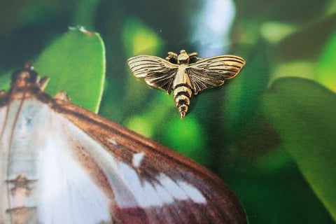 Moth Gold Lapel Pin