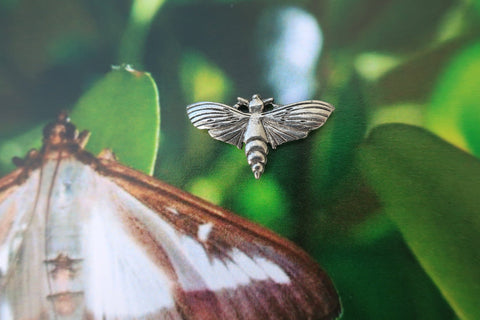 Moth Lapel Pin