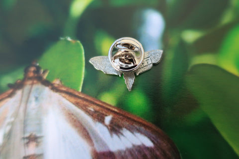 Moth Lapel Pin