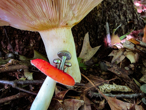 Mushrooms Lapel Pin