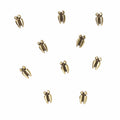 Moose Tracks Pushpins