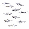 Shark Pushpins