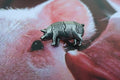 Pig Lapel Pin