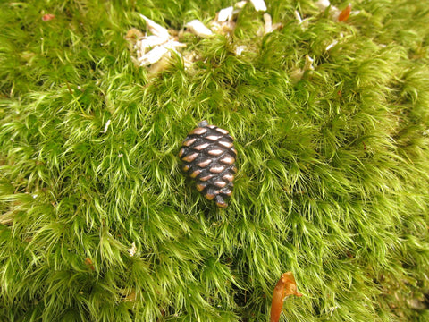 Pine Cone Copper Lapel Pin