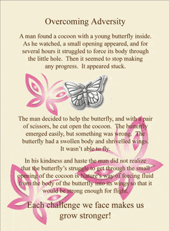 Overcoming Adversity Story Card Pin