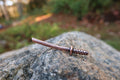 Samurai Sword Copper Lapel Pin