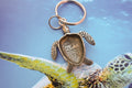 Sea Turtle Keyrings