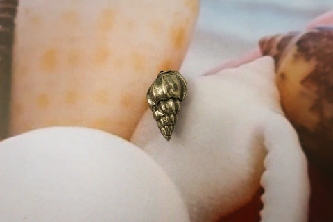Seashell Lapel Pin