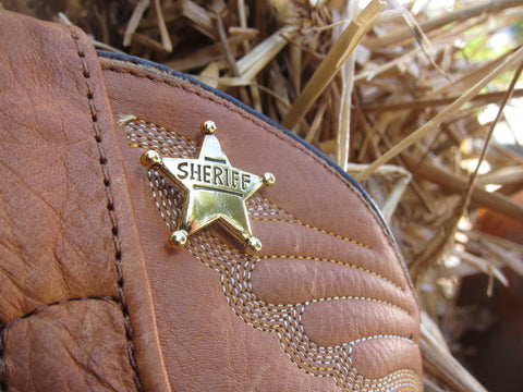Sheriff Star Gold Lapel Pin