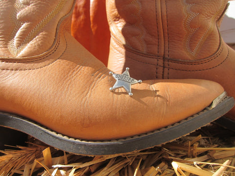 Sheriff Star Lapel Pin