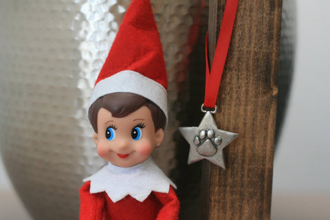 Star Paw Ornament