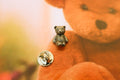 Teddy Bear Lapel Pin