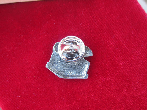 Treasure Chest Lapel Pin