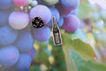 Wine Bottle Lapel Pin