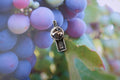 Wine Bottle Lapel Pin