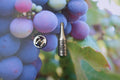 Wine Bottle Lapel Pin